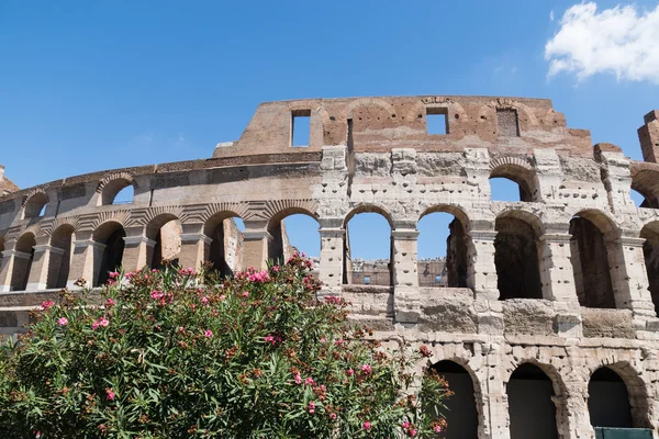 Roma 'da kolezyum, İtalya