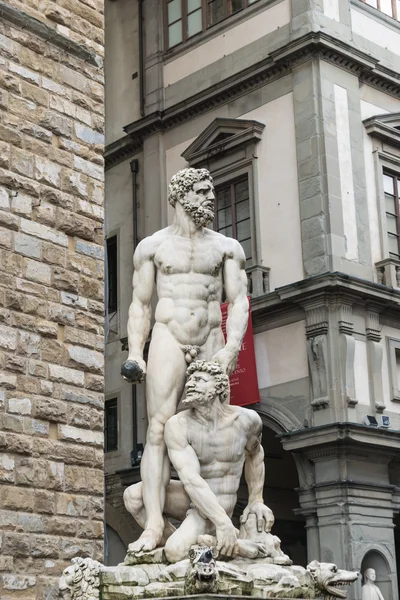 雕像大力士和空调机组能效标准，佛罗伦萨，意大利 — 图库照片