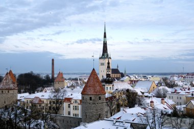 Tallinn 'in panoramik manzarası. Estonya