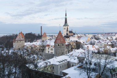 Tallinn 'in panoramik manzarası. Estonya
