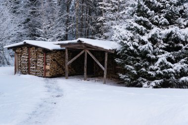 Kış ormanda Odunluk