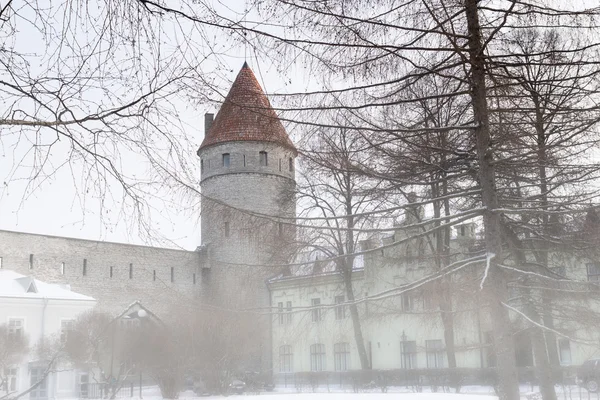 Parte de la muralla medieval de Tallin, Estonia —  Fotos de Stock