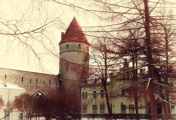 Parte de la muralla medieval de Tallin, Estonia —  Fotos de Stock