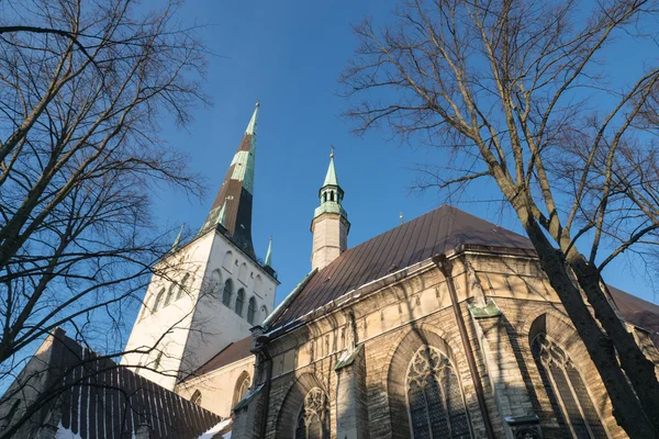 Igreja de São Olavo (Oleviste). Tallinn, Estónia — Fotografia de Stock