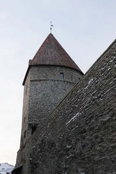 Ortaçağ Şehir duvarının Tallinn, Estonya — Stok fotoğraf