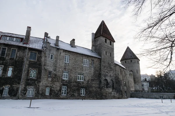 Часть средневековой городской стены Таллинна, Эстония — стоковое фото