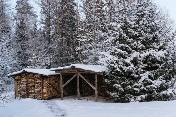 Woodshed in the winter forest — Stock Photo, Image