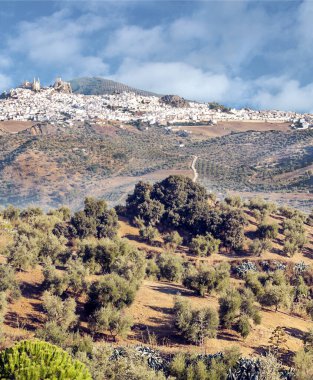 Endülüs 'ün beyaz kenti Olvera