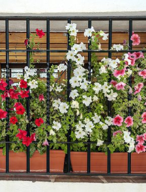 Beyaz bir duvarda çiçekli pencere