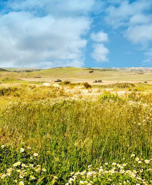 Ağaçlı Endülüs Tarlaları