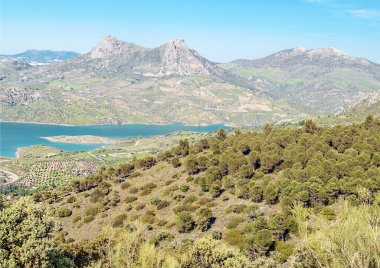 Güneşli bir günde İspanya 'da Sierra de Grazalema Dağları