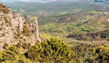 Güneşli bir günde İspanya 'da Sierra de Grazalema Dağları