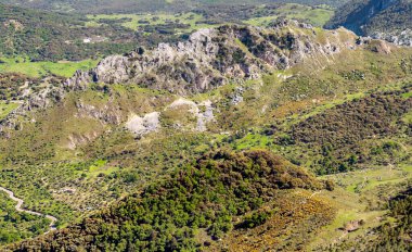 Güneşli bir günde İspanya 'da Sierra de Grazalema Dağları