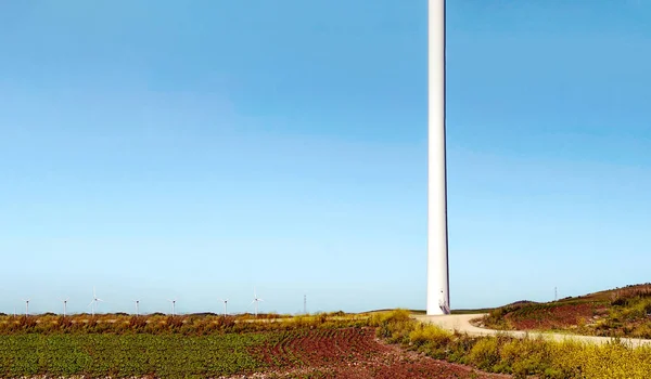 Felder Andalusien Mit Windkraftanlagen — Stockfoto