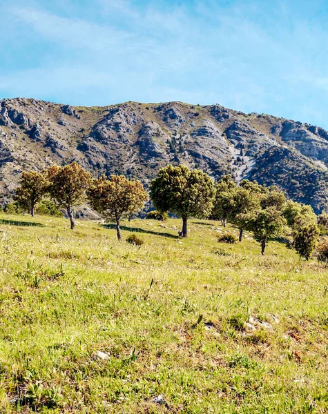 Montañas Día Soleado Sierra Grazalema España — Foto de Stock