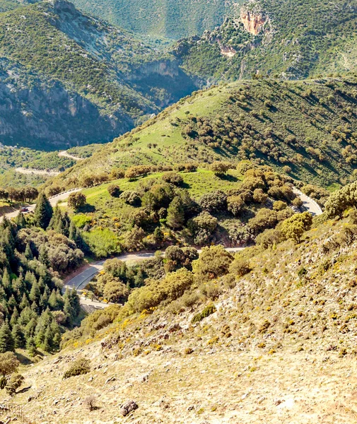 スペインのシエラ グラサレマで晴れた日の山 — ストック写真