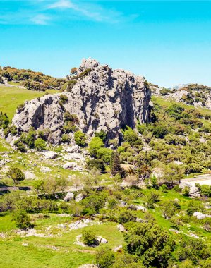 Güneşli bir günde İspanya 'da Sierra de Grazalema Dağları