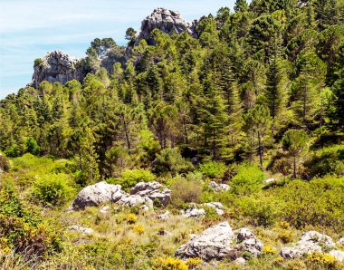 Güneşli bir günde İspanya 'da Sierra de Grazalema Dağları