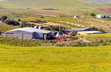 Ağaçlı Endülüs Tarlaları