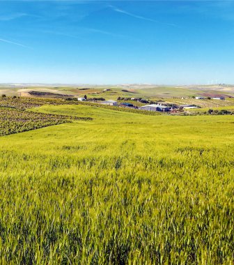 Ağaçlı Endülüs Tarlaları