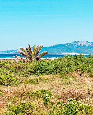 Endülüs 'teki Tarifa Sahili