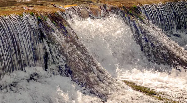 Cascada Río Del Bosque —  Fotos de Stock