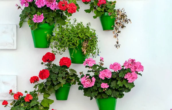 White Wall Decorated Flower Pots — Stock Photo, Image