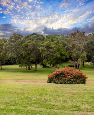Bulutlu bir günde Kenya tatil beldesindeki bahçeler