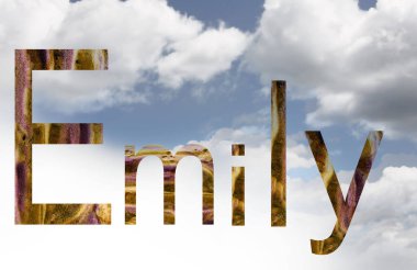 Bulutlarla çevrili İngilizce Emily ismi