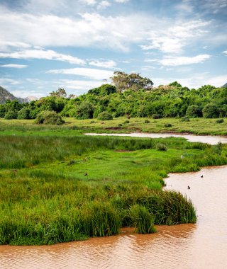 Kenya 'da Nakuru Gölü Bulutlu bir gökyüzünün altında