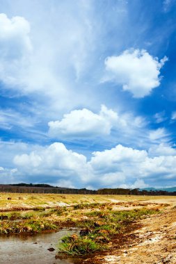 Kenya 'da Nakuru Gölü Bulutlu bir gökyüzünün altında