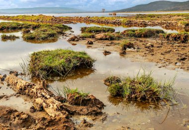 Kenya 'da Nakuru Gölü Bulutlu bir gökyüzünün altında