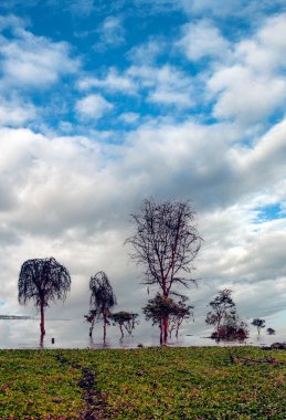 Kenya 'da Nakuru Gölü Bulutlu bir gökyüzünün altında