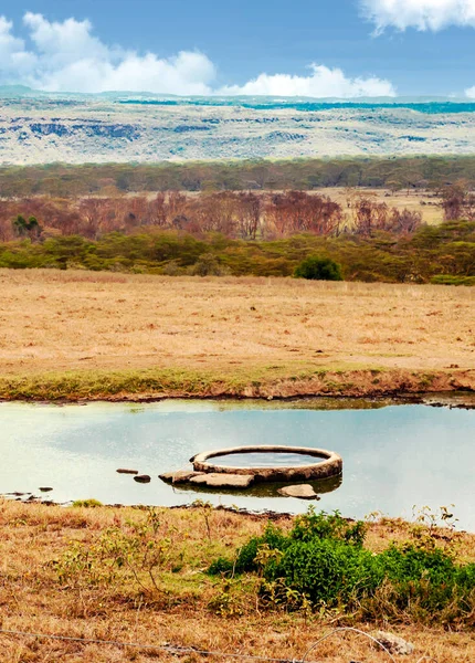 Meer Nakuru Kenia Onder Een Bewolkte Lucht — Stockfoto