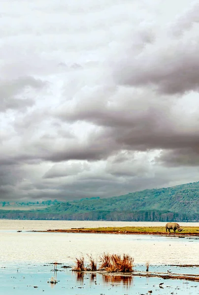 Kenya Nakuru Gölü Bulutlu Bir Gökyüzünün Altında — Stok fotoğraf