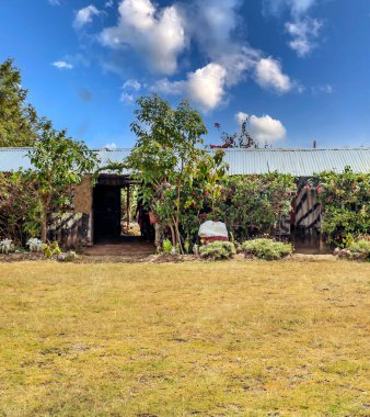 Bulutlu bir günde Kenya pansiyonunda bahçeler