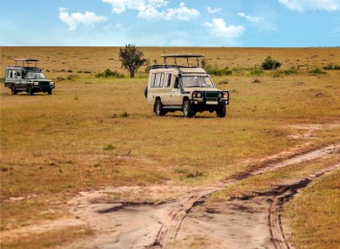 AMBOSELI, Kenya - Mayıs 2014. Kenya Ulusal Parkı 'nda cipte safari yapan bir turist. Hayvanlara bakıyorlar..