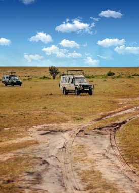 AMBOSELI, Kenya - Mayıs 2014. Kenya Ulusal Parkı 'nda cipte safari yapan bir turist. Hayvanlara bakıyorlar..