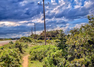Kenya vadisi, gökyüzünde bulutlar, arka planında dağlar...
