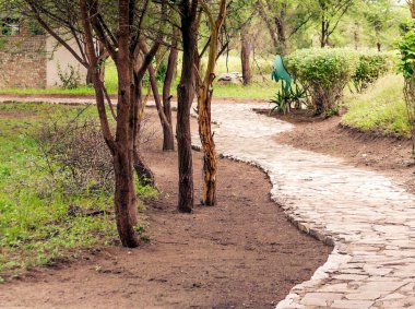 Kenya 'nın bulutlu bir günde manzarası