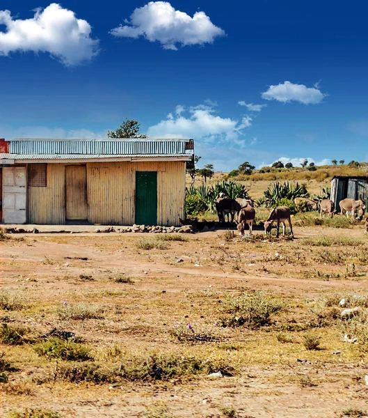 貧しい家がある曇った日のケニアの村 — ストック写真