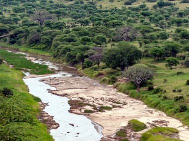Kenya 'da akasya ağaçları olan nehir bulutlu bir günde