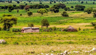 Tanzanya 'daki yerli kabilesi.