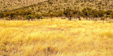 Tanzanya 'daki Ngorogoro vadisi bulutlu bir günde