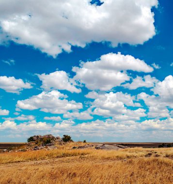 Tanzanya 'daki Ngorogoro vadisi bulutlu bir günde