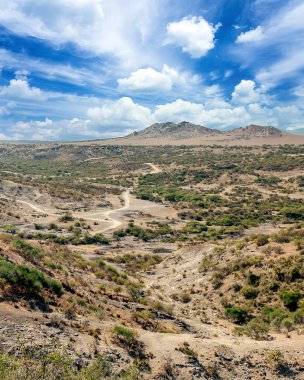 Arusha 'da pazar sahnesi. 