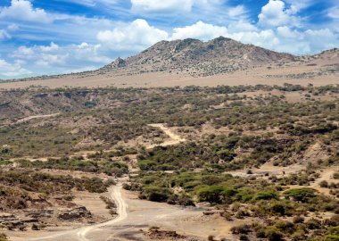 Arusha 'da pazar sahnesi. 