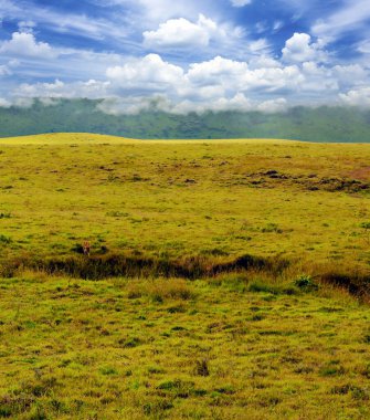 Arusha 'da pazar sahnesi. 