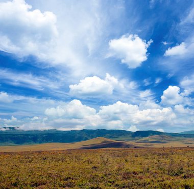 Arusha 'da pazar sahnesi. 