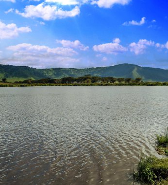 Tanzani 'nin doğal rezervlerinde bulutlu bir gökyüzünün altında